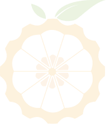 Logo Orange Pi Footer
